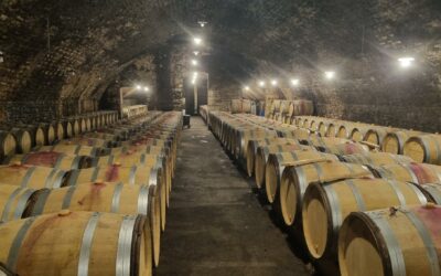 🍇 NOUVELLE INSTALLATION POUR ALPHATRAITE !🍷